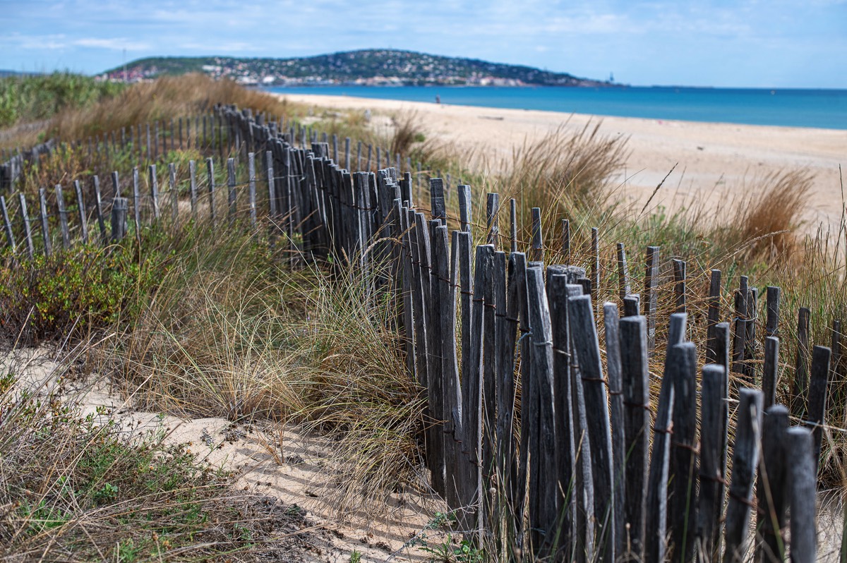 Stacks Image 147