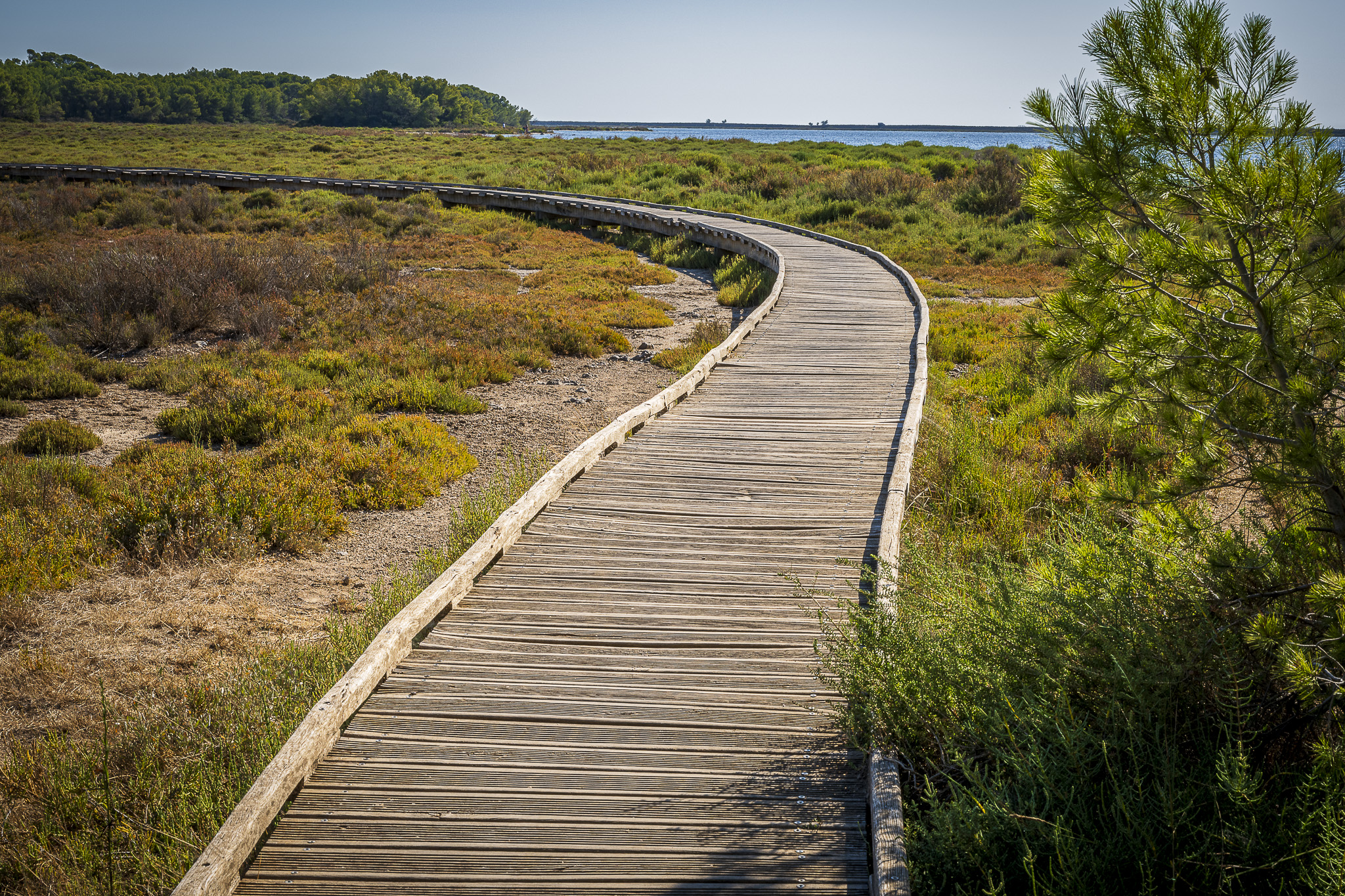 Stacks Image 109