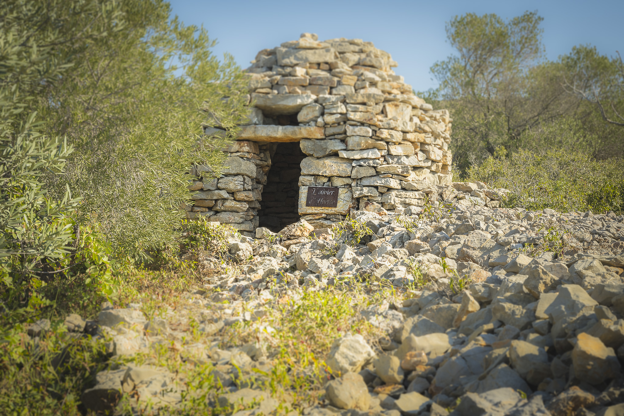 Stacks Image 103