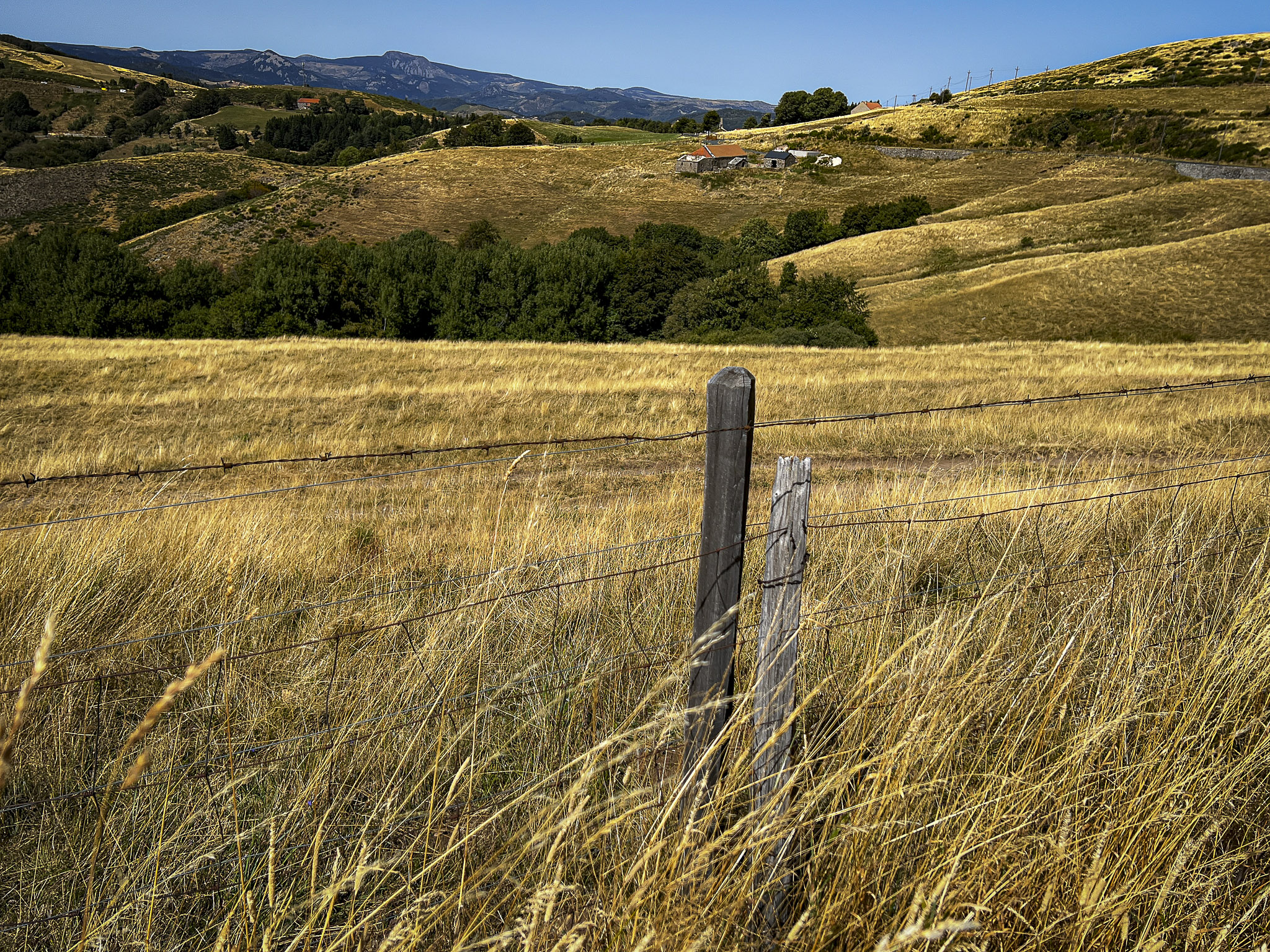 Stacks Image 83