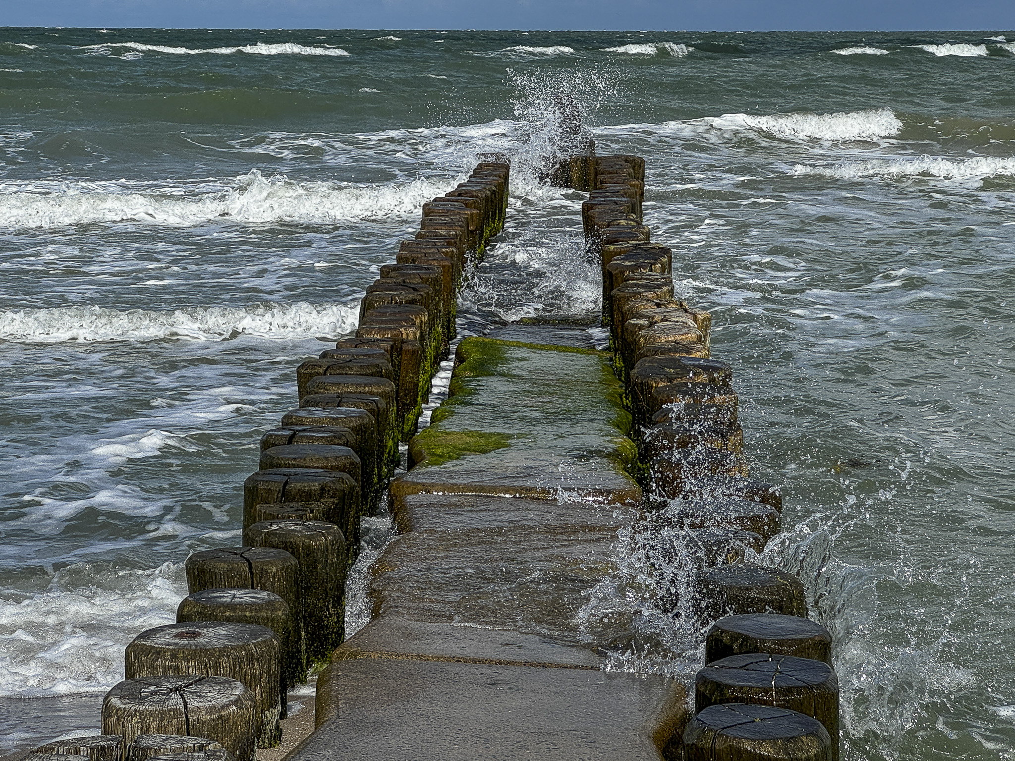 Stacks Image 315