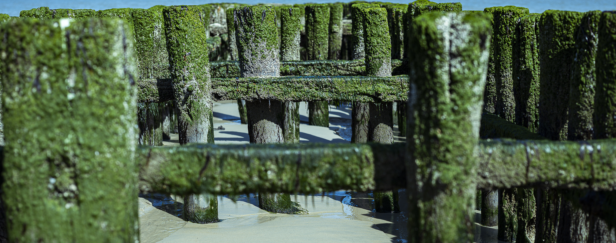 Stacks Image 681